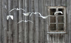 White bird-shaped pendants from this Clérachic fixture hang in a row along a weathered wooden plank wall beside a window.
