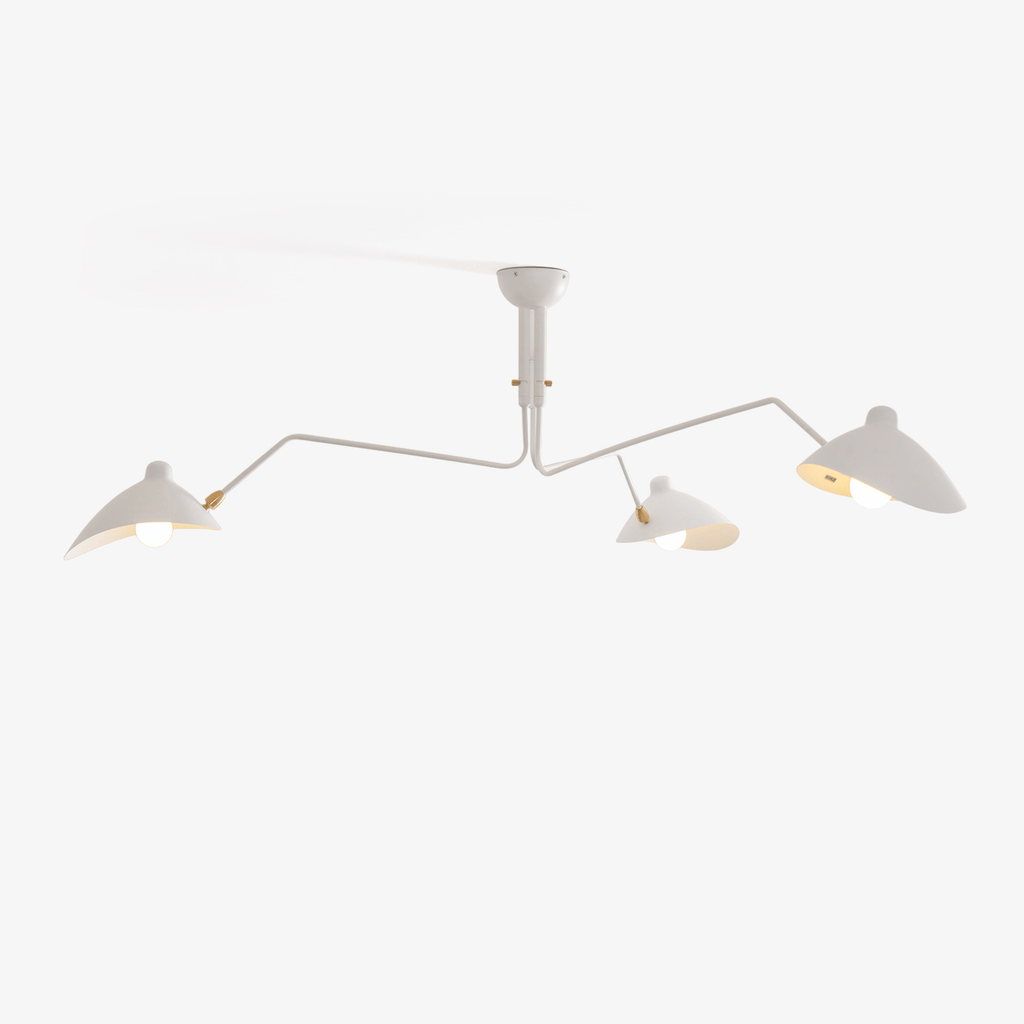 Spider ceiling light arms and brass hardware detail