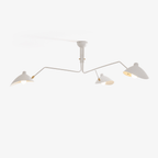 Spider ceiling light arms and brass hardware detail