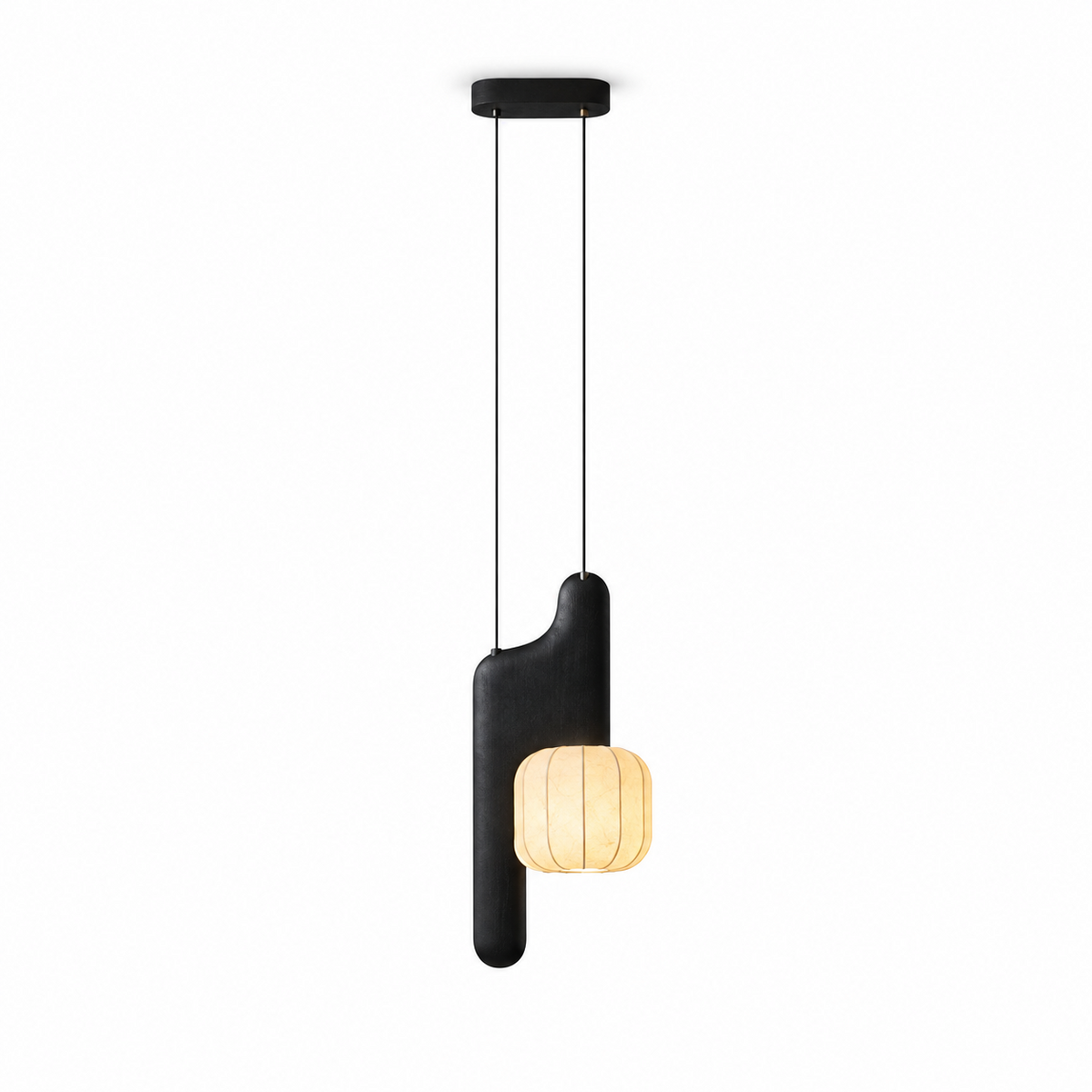 Studio image of this two-light Clérachic fixture in black, one bent-style shade glowing beneath its dual-cord canopy.