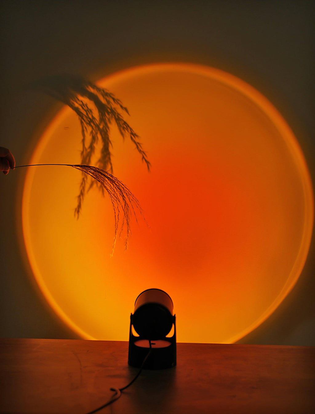 Silhouetted grass stems stand before the orange sunset halo cast by this Clérachic projection lamp on a wooden table.