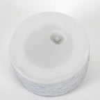 Solar LED Ice Brick Step Lights, Set of 4 Acrylic Garden Lights