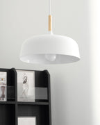 Acorn Pendant Light, Zinc Alloy Shade, Solid Oak Base, E27