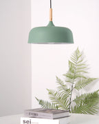 Acorn Pendant Light, Zinc Alloy Shade, Solid Oak Base, E27