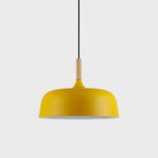 Acorn pendant light shown lit in an evening interior