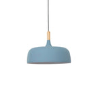 Acorn pendant light shade detail showing painted finish and oak cap