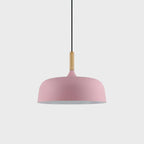 Acorn pendant light hanging in a bright modern room