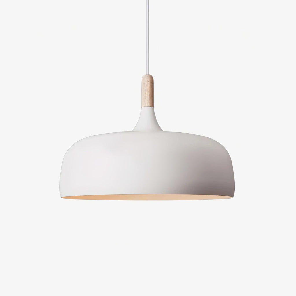 Acorn pendant light full view with cord and ceiling canopy