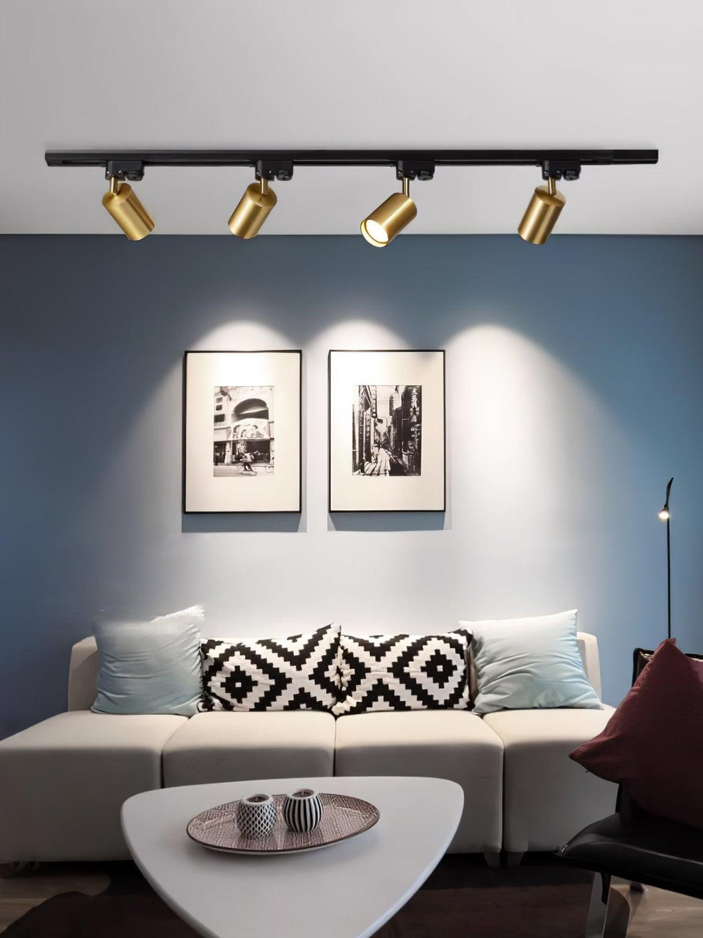 Track ceiling light shown lighting a retail display