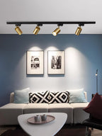 Track ceiling light shown lighting a retail display