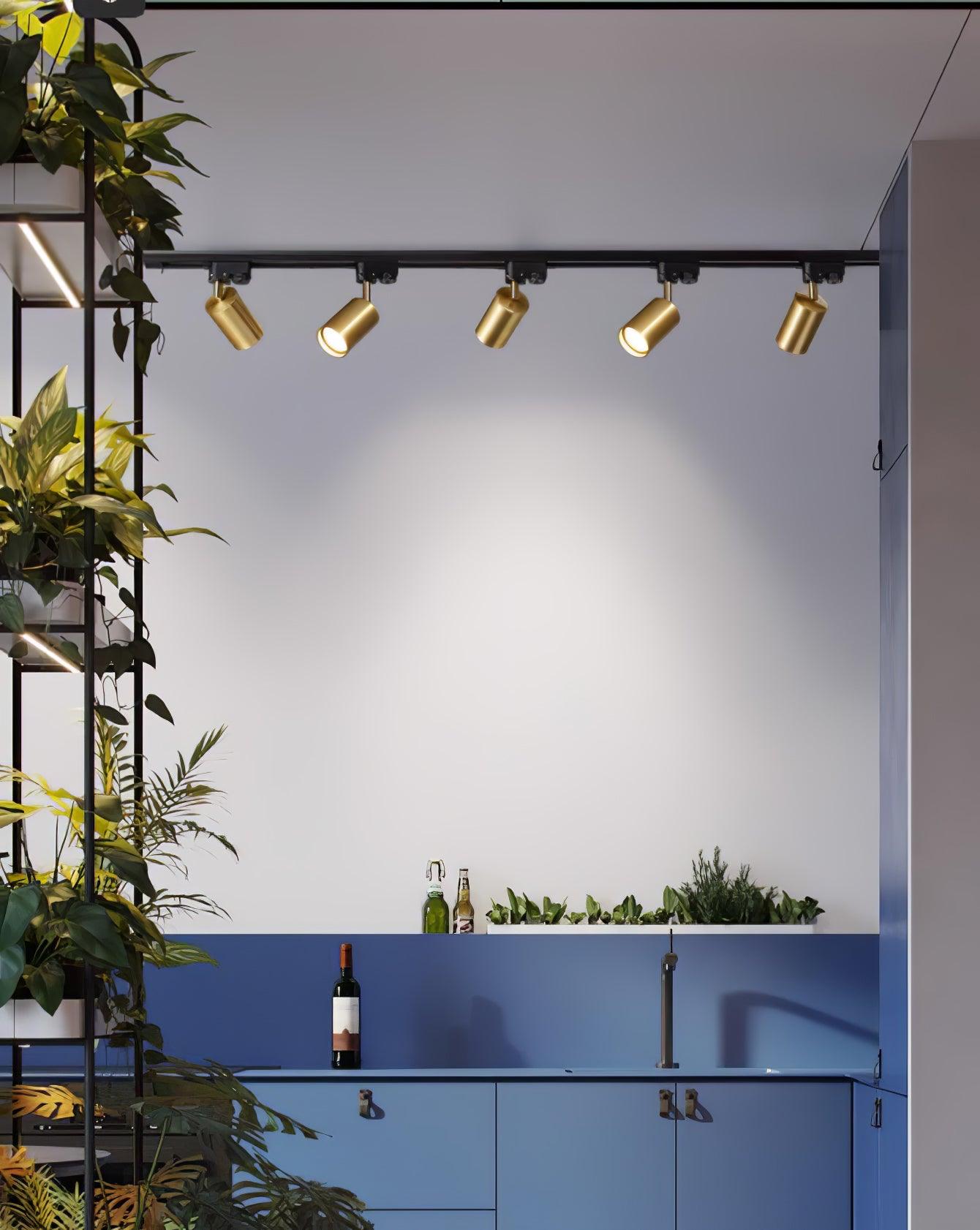 Track ceiling light with gold heads in a warm room