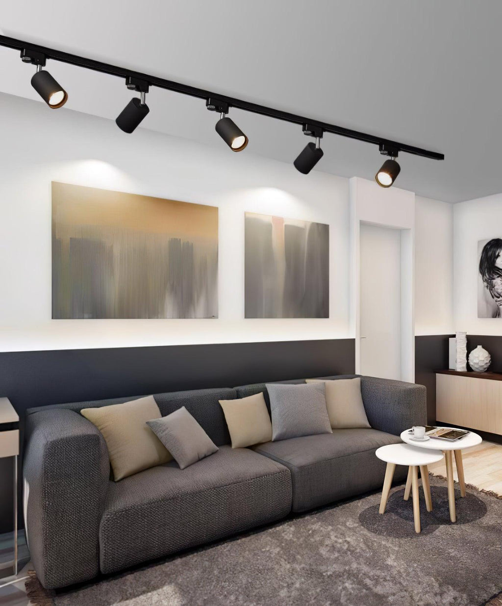 Track ceiling light with black body and matching heads