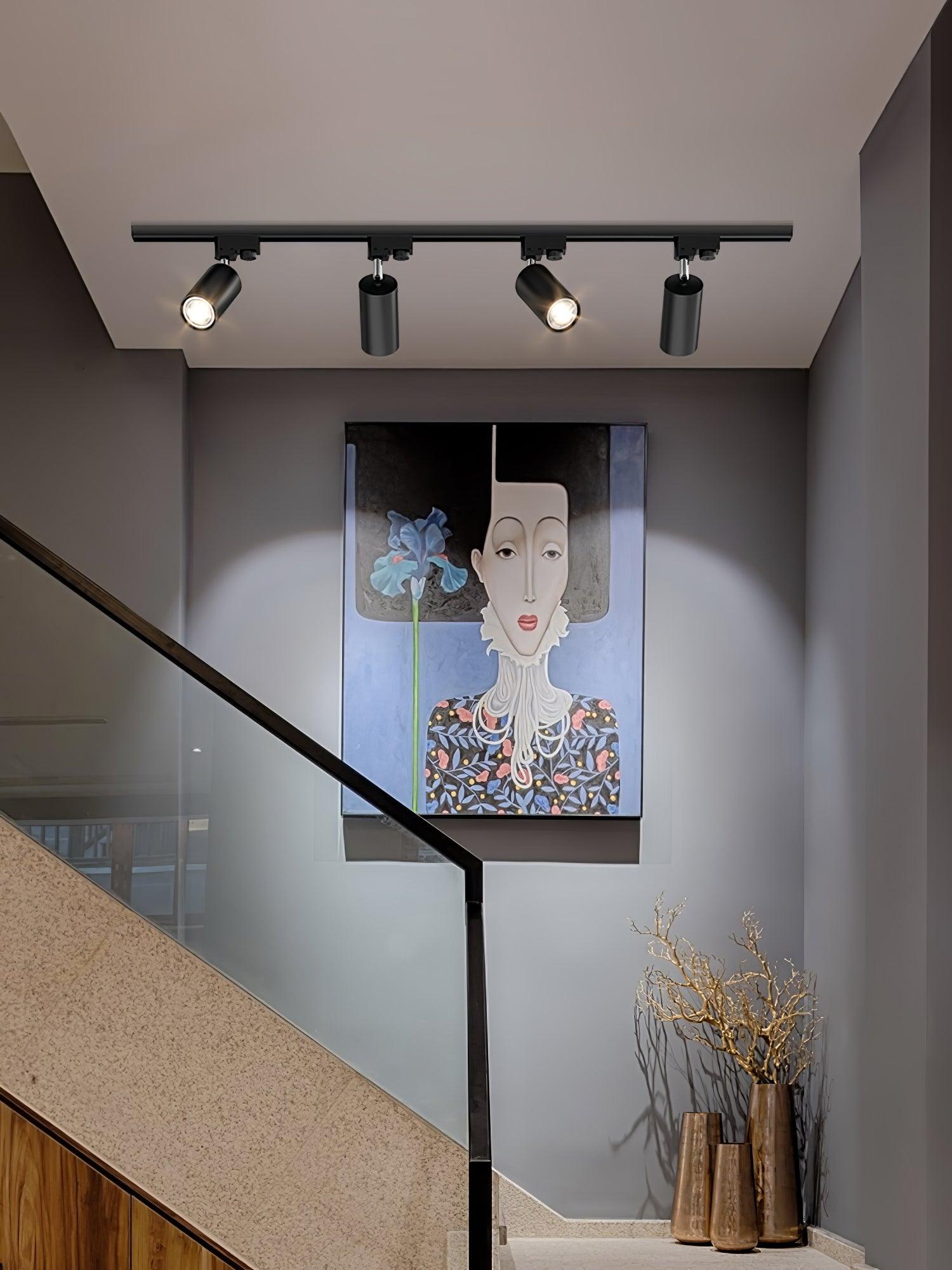 Track ceiling light mounted above a living room shelf