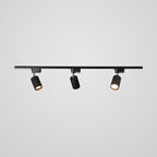Track ceiling light spotlights aimed to accent wall art