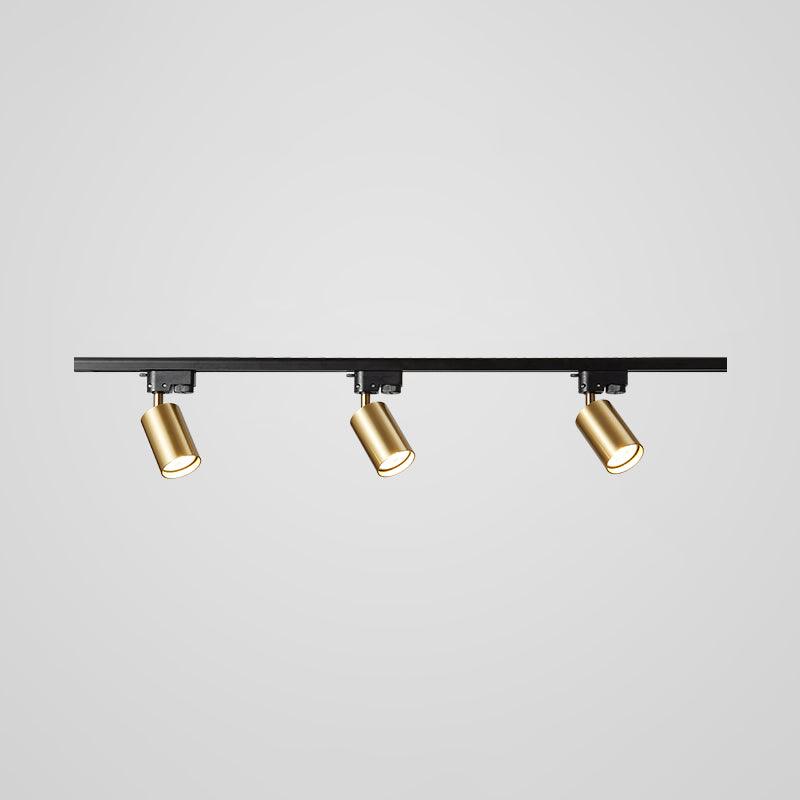 Track ceiling light with adjustable heads in a black finish