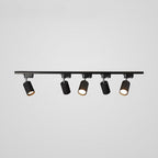Track ceiling light with white body and adjustable heads