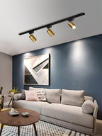 Track ceiling light heads positioned to wash a gallery wall