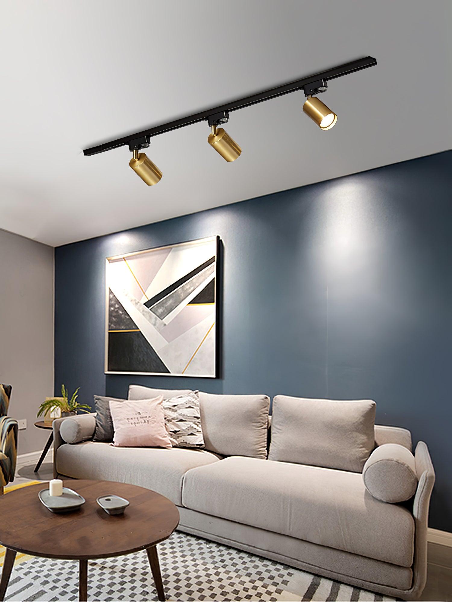 Track ceiling light heads positioned to wash a gallery wall