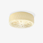 Adler ceiling light close-up of the glass outer shade