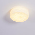 Adler ceiling light shown lit above a seating area