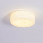 Adler ceiling light overhead view showing round shade