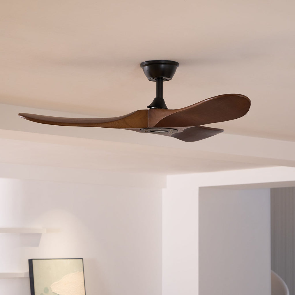Propeller ceiling fan blade and canopy detail on white