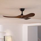 Propeller ceiling fan blade and canopy detail on white