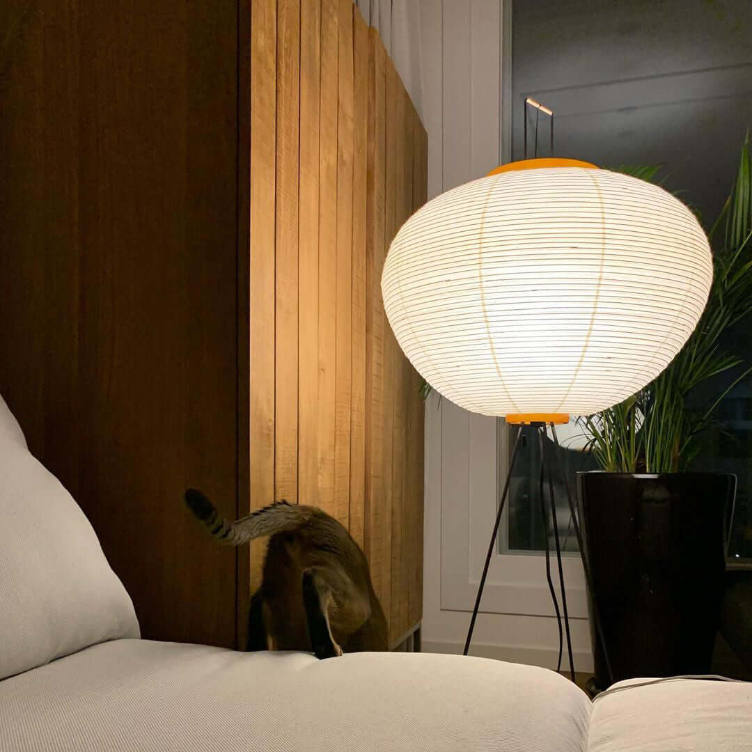 Floor Lamp, Akari Rice Paper Shade, E26/E27, Plug-In, Sculptural