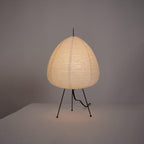 Table Lamp, Xuanzhi, Handmade Mulberry Paper Shade, E26/E27, Plug-In