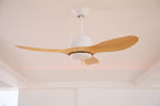 Ceiling Fan With Curved ABS Blades and Quiet DC Copper Motor, Remote, Three Sizes