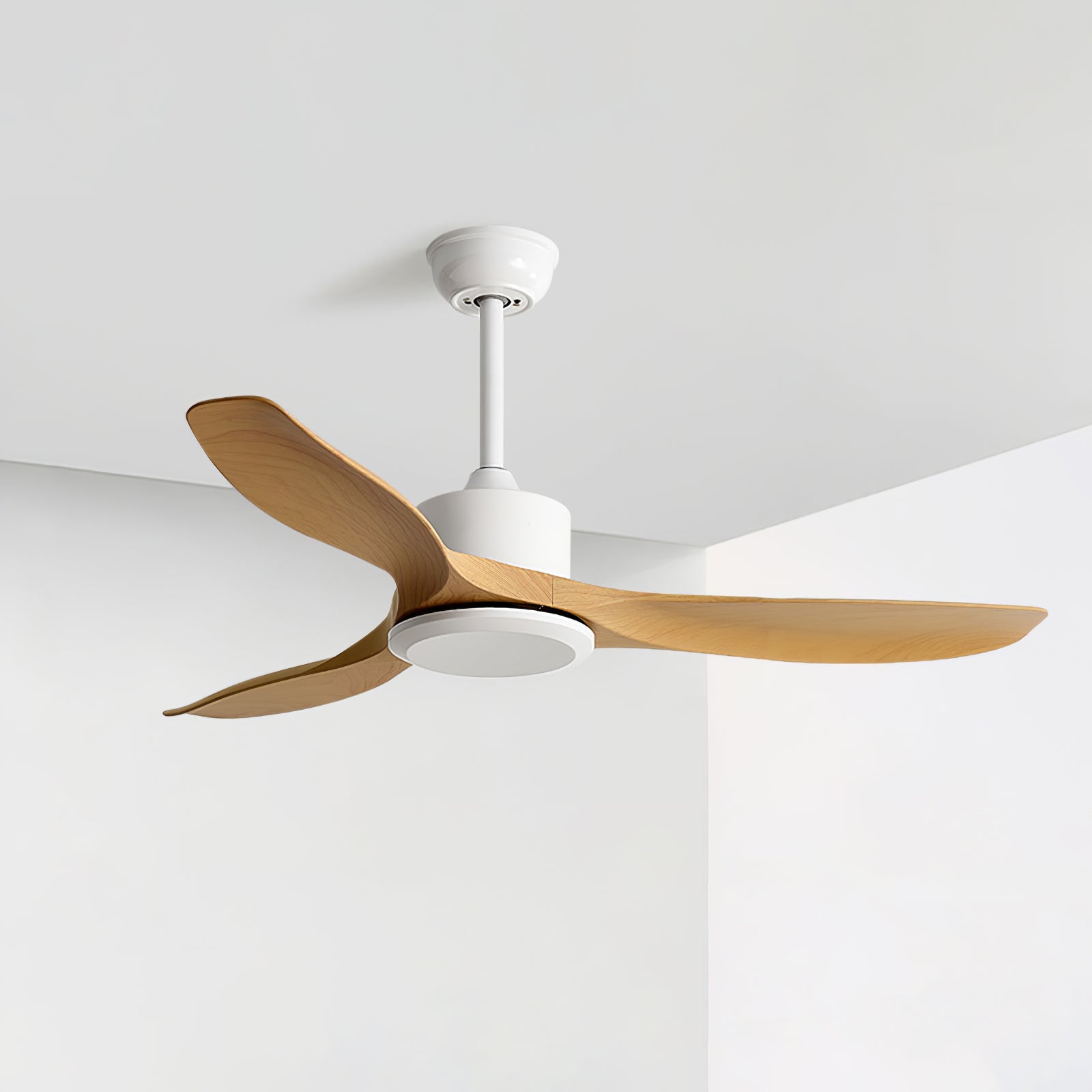 Curved-blade ceiling fan shown from below in a modern space