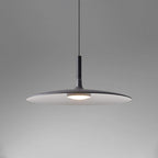 Pendant light with aluminum shade suspended from an adjustable cable