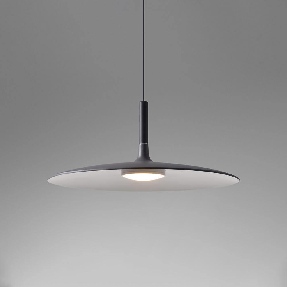 Pendant light with aluminum shade suspended from an adjustable cable