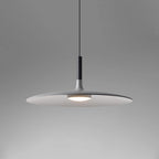 Aluminum pendant light glowing warmly above a dining space