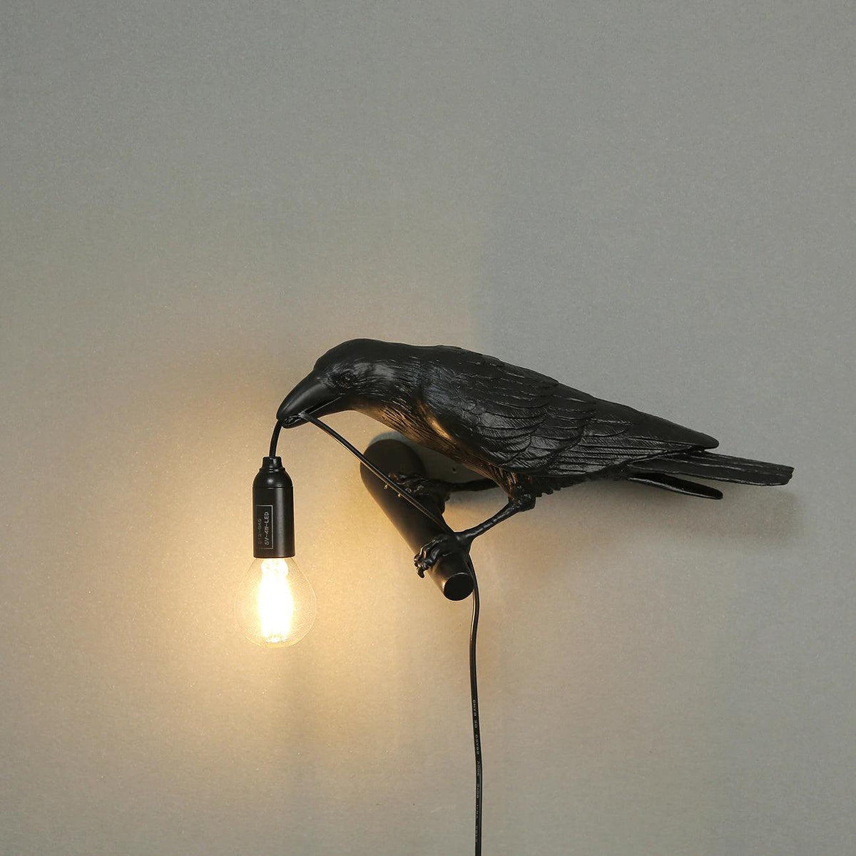 Mounted on a plain wall, this black resin Clérachic bird lamp lowers its beak to the cord, with the bulb glowing warm below.