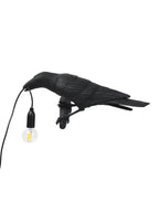 In a three-quarter studio view, this black resin Clérachic bird lamp holds its warmly lit bulb by a short cord.