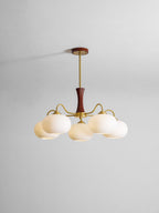 Persimmon chandelier detail with warm brass and glass shades