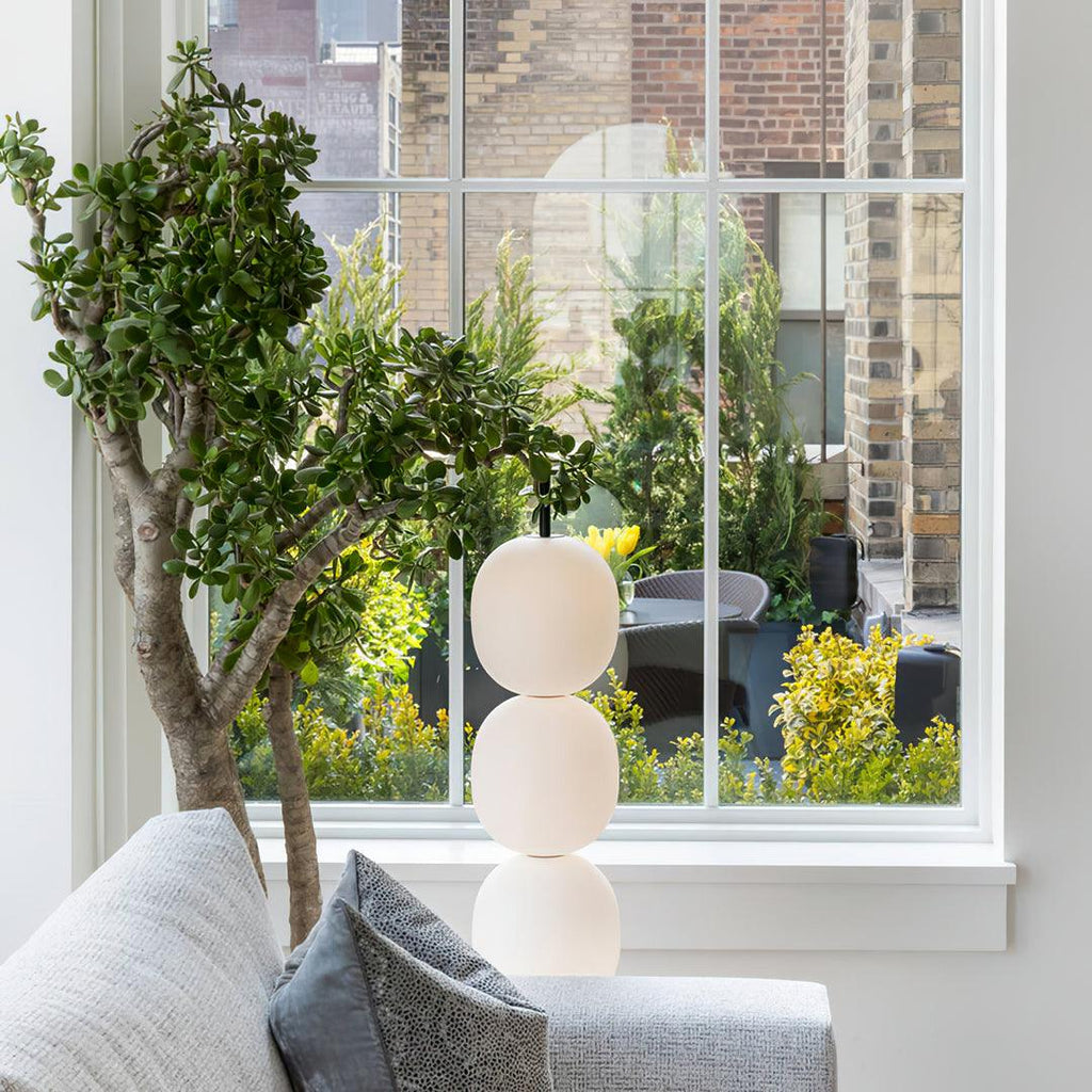 Two of the glass globes rising above a window ledge, a jade plant and a grey sofa below.
