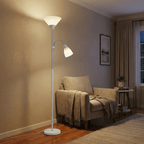 Floor Lamp, Dual-Head Metal Frame, Adjustable Reading Light