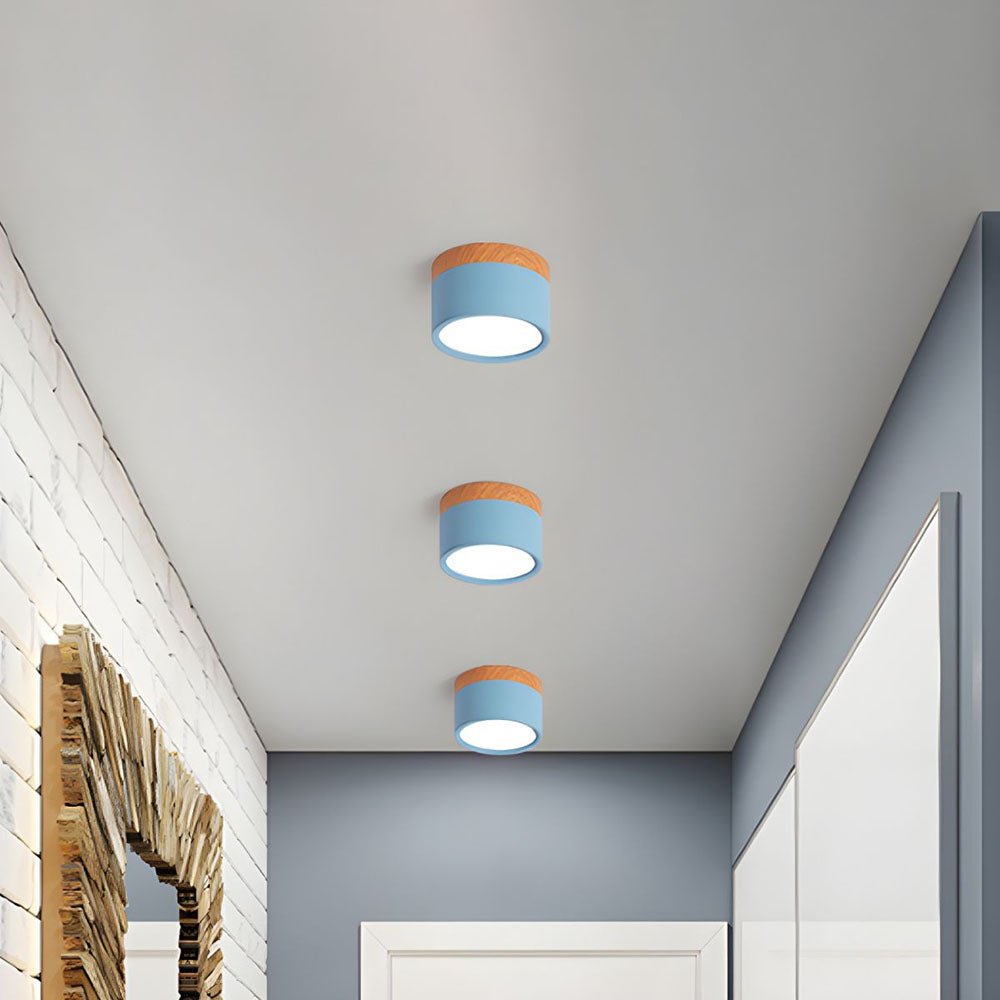 Wood Trim Cylinder Ceiling Light, Flush Mount, Frosted LED Diffuser