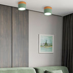 Wood Trim Cylinder Ceiling Light, Flush Mount, Frosted LED Diffuser
