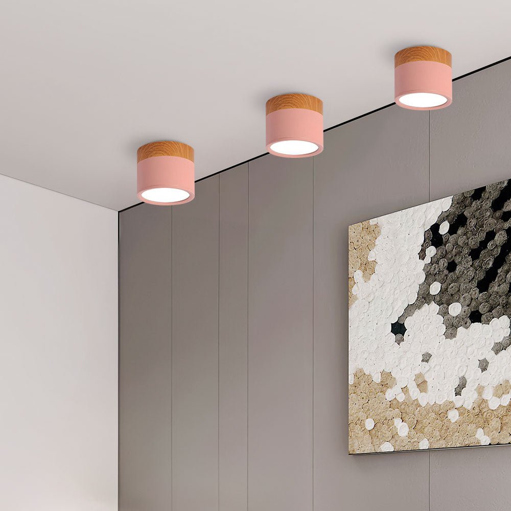 Wood Trim Cylinder Ceiling Light, Flush Mount, Frosted LED Diffuser