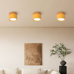 Wood Trim Cylinder Ceiling Light, Flush Mount, Frosted LED Diffuser