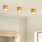 Wood Trim Cylinder Ceiling Light, Flush Mount, Frosted LED Diffuser