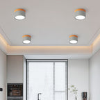 Wood Trim Cylinder Ceiling Light, Flush Mount, Frosted LED Diffuser