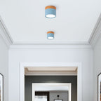 Wood Trim Cylinder Ceiling Light, Flush Mount, Frosted LED Diffuser