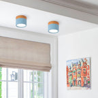 Wood Trim Cylinder Ceiling Light, Flush Mount, Frosted LED Diffuser