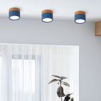 Wood Trim Cylinder Ceiling Light, Flush Mount, Frosted LED Diffuser