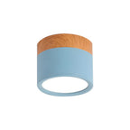 Wood Trim Cylinder Ceiling Light, Flush Mount, Frosted LED Diffuser