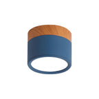 Wood Trim Cylinder Ceiling Light, Flush Mount, Frosted LED Diffuser